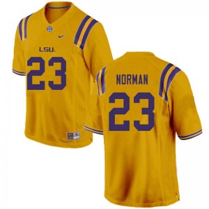 Mens LSU Tigers Corren Norman #23 Gold Official Jersey 450228-436