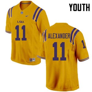 Youth LSU Tigers Terrence Alexander #11 Embroidery Gold Jerseys 953372-547