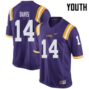 Youth LSU Tigers Drake Davis #14 Embroidery Purple Jersey 239325-163