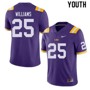 Youth LSU Tigers Josh Williams #25 College Purple Jersey 552125-393