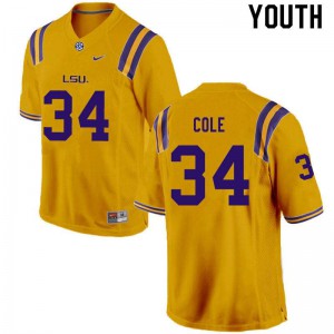 Youth LSU Tigers Lloyd Cole #34 Gold Football Jersey 490631-398