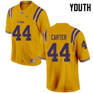 Youth LSU Tigers Tory Carter #44 Gold NCAA Jersey 810045-822