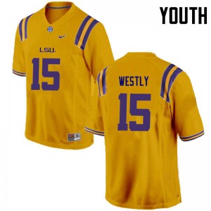 Youth LSU Tigers Tony Westly #15 Gold Embroidery Jerseys 910238-956