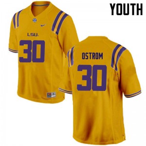 Youth LSU Tigers Michael Ostrom #30 Gold Football Jersey 676028-913