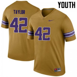 Youth LSU Tigers Jim Taylor #42 Stitched Gold Legend Jersey 524331-820