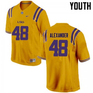 Youth LSU Tigers Donnie Alexander #48 Gold Stitch Jerseys 677363-969