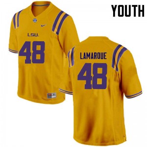Youth LSU Tigers Ronnie Lamarque #48 Gold University Jerseys 245947-597