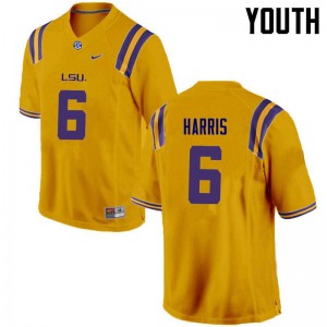 Youth LSU Tigers Brandon Harris #6 Gold University Jerseys 809068-864