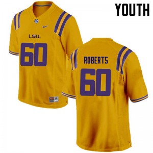 Youth LSU Tigers Marcus Roberts #60 High School Gold Jersey 704446-798
