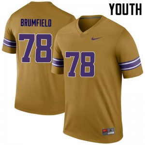 Youth LSU Tigers Garrett Brumfield #78 Stitch Gold Legend Jerseys 672938-989