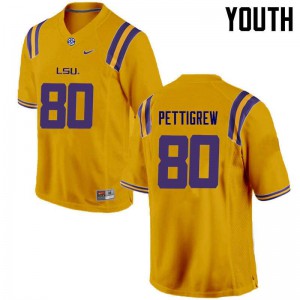 Youth LSU Tigers Jamal Pettigrew #80 Gold Stitched Jersey 878526-463